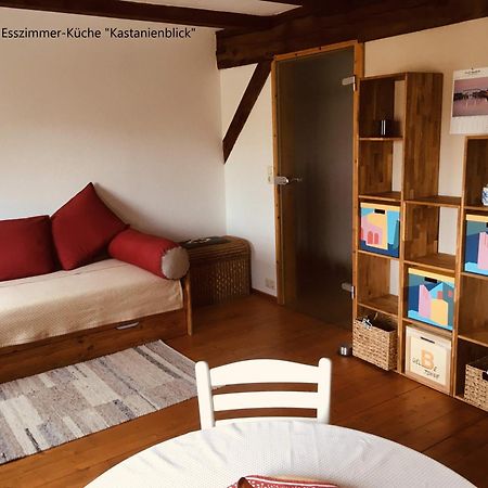 Ferienwohnung Kastanienblick Oder Parkblick, Oder Unser Radlerzimmer! Ziethen  Eksteriør bilde