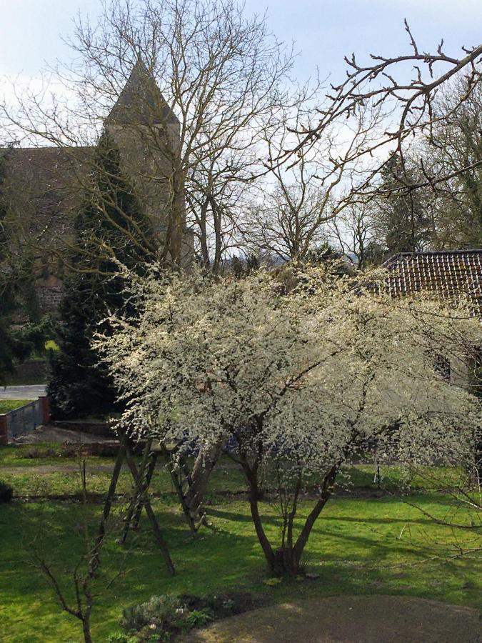 Ferienwohnung Kastanienblick Oder Parkblick, Oder Unser Radlerzimmer! Ziethen  Eksteriør bilde