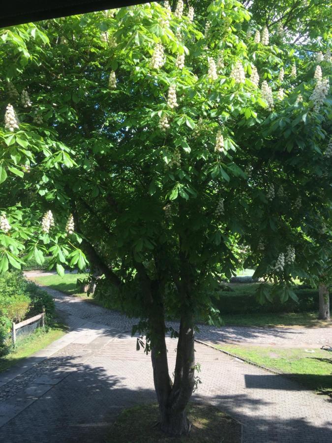 Ferienwohnung Kastanienblick Oder Parkblick, Oder Unser Radlerzimmer! Ziethen  Eksteriør bilde