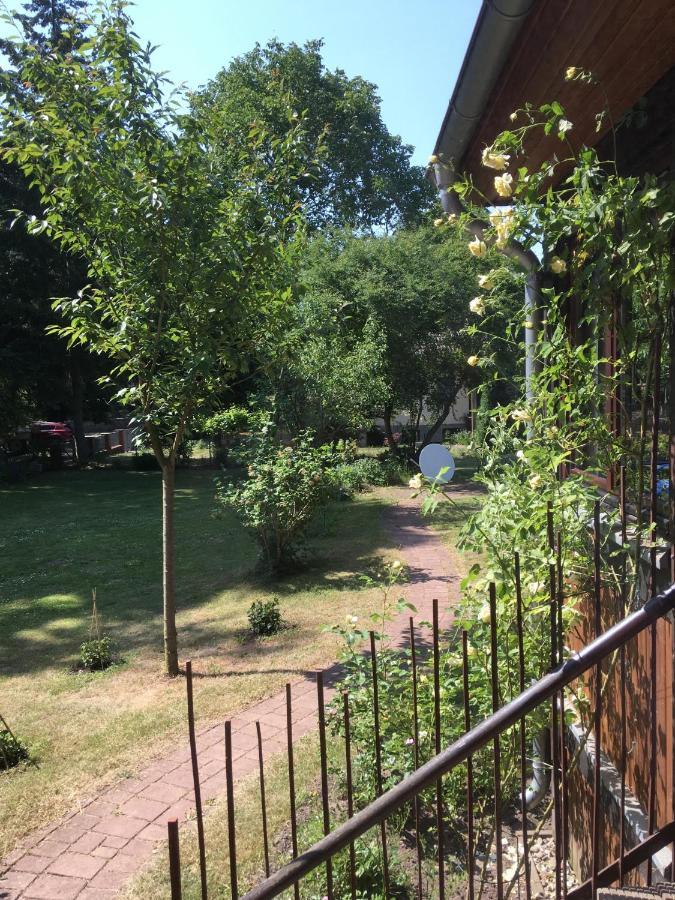Ferienwohnung Kastanienblick Oder Parkblick, Oder Unser Radlerzimmer! Ziethen  Eksteriør bilde