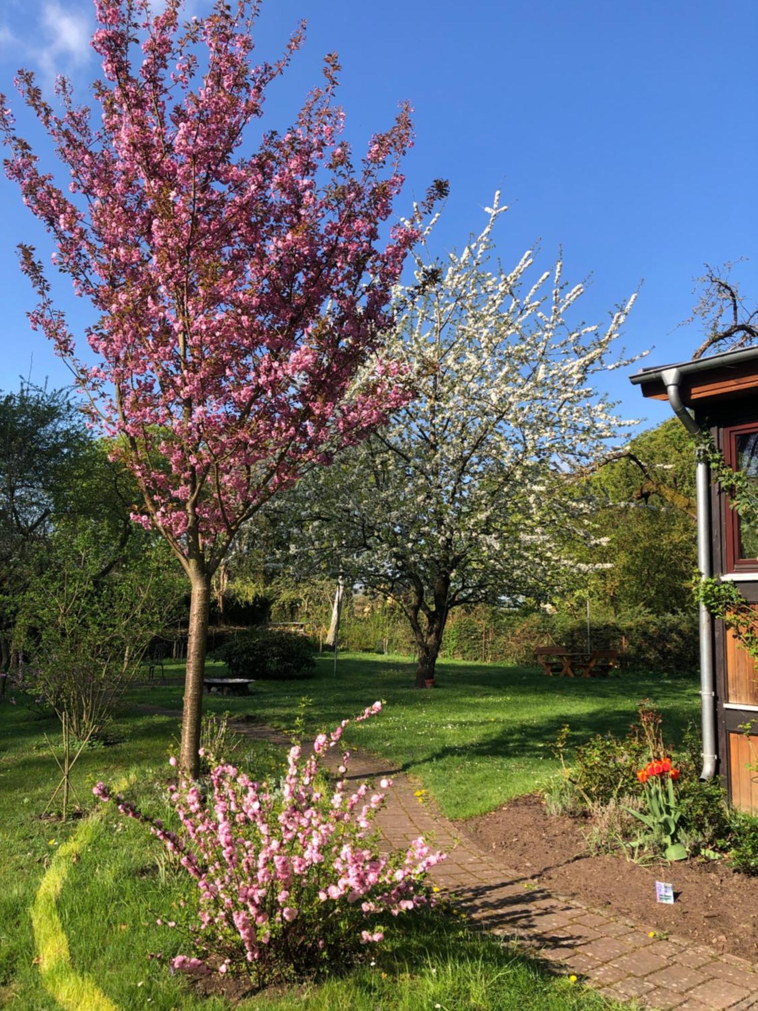 Ferienwohnung Kastanienblick Oder Parkblick, Oder Unser Radlerzimmer! Ziethen  Eksteriør bilde